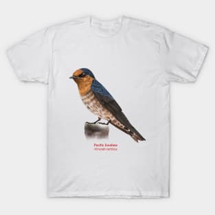 Pacific Swallow | Hirundo tahitica T-Shirt